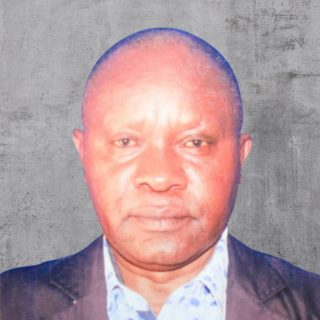 Mr. Adil E. Mwanga CEO